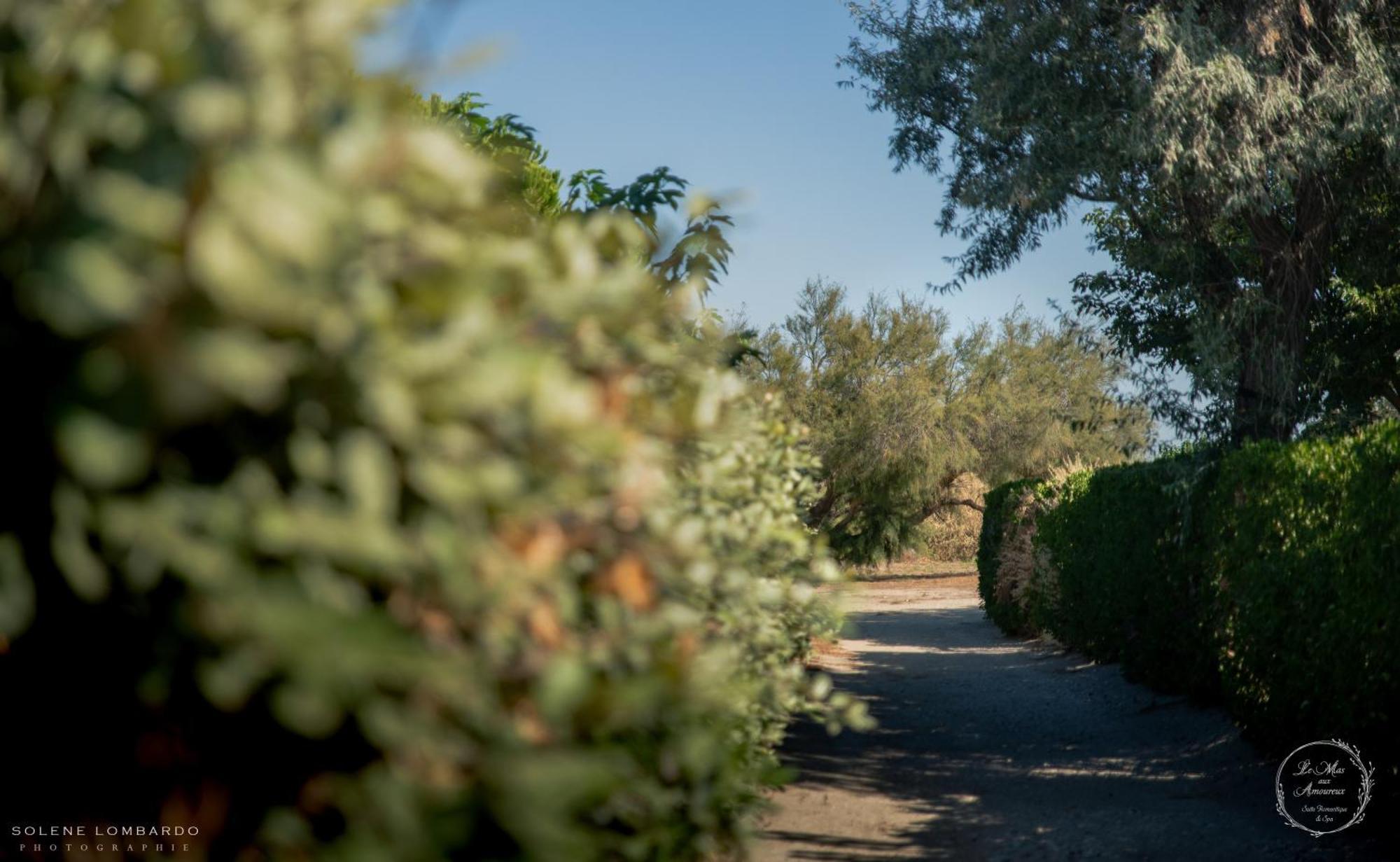 Le Mas Aux Amoureux , Suite Romantique Et Spa Le Barcarès エクステリア 写真